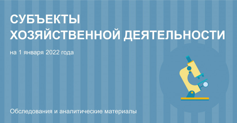 Иркутскстат об институциональных преобразованиях и демографии организаций  в Иркутской области